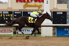 Every pint and sandwich is small batch and as local as possible. Leona S Reward Horse Profile Bloodhorse