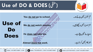 Use Of Do Does Did In Urdu Hindi English Grammar In Urdu English Study English Grammar Urdu