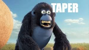 Maurice es un pingüino que fue criado como un tigre. La Phrase Preferee De Miguel Les As De La Jungle