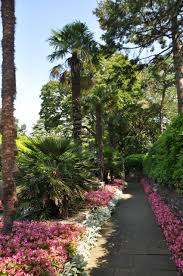 Styling Black Maxi Dress for Summer