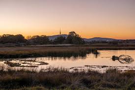 Mulligans Flat Woodland Sanctuary