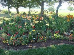 Day Lily Garden Ideas This Is The Same Bed In The Summer There Are Shorter Lilies At The Daylily Garden Lily Garden Canna Lily Garden
