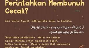 Sayangnya, ayah dari nabi ibrahim as adalah pembuat patung berhala yang juag. Kisah Nabi Ibrahim Dibakar Archives Nasihat Sahabat