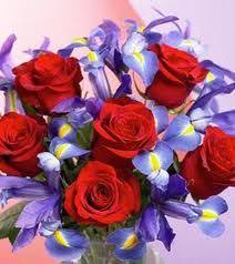 This roses flower arrangement is to bring peace and comfort to your friends and family in their time of need. Purple Iris And Red Rose One Of My Favorites Red Rose Bouquet Small Purple Flowers Purple Flower Bouquet