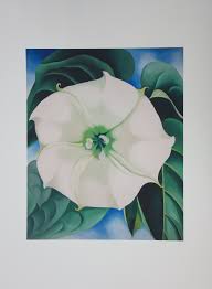 O'keeffe's ability to capture the beauty that often goes unnoticed and with such a. Georgia O Keeffe After Jimson Weed White Flower Lithograph Post War Modern Art Plazzart