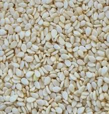 Image result for Sesamum