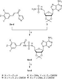Рё изумино / ryou izumino. Synthesis And Inhibitory Activity Of Mechanism Based 4 Coumaroyl Coa Ligase Inhibitors Sciencedirect