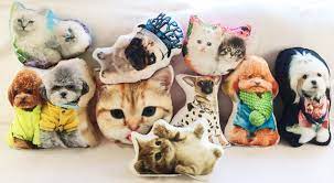 Long, silky fibers create a light, plush feel supportive inner layer: Onepethub Introduces Personalized Handmade Pet Pillow As A Unique Gift For Christmas Season