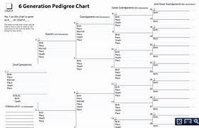 Fillable Family Tree Template Awesome Treeseek 15 Generation