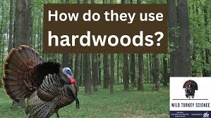 Legends of turkey research