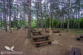 Në nëntor 2013, fifa ndaloi shqipërinë që të përdorte stadiumin kombëtar qemal stafa pasi nuk i plotësonte kushtet minimale për zhvillimin e një ndeshje. 7 Sokobanja Park Borici Ideas Park Plants Country Roads