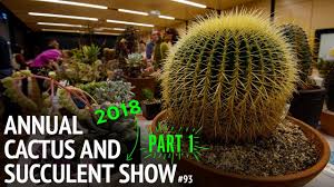 The cactus and succulent society of queensland inc. 93 The 2018 Cactus And Succulent Society Of Australia Competition Part 1 Youtube