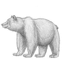 How to draw cool stuff the 5 minute workbook. How To Draw Cool Stuff The 5 Minute Workbook Holmes Catherine V 9781732888845 Amazon Com Books