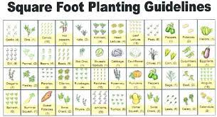 4x8 Raised Bed Vegetable Garden Layout Raised Bed Getable Garden Layout 4 8 Raised Garden Layout Vegetable Square Foot Gardening Plans Vegetable Garden Planner