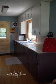 diy refinished and painted cabinet reviews