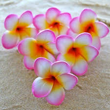 Pin On Postcard From Bali