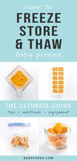 Photographs by thayer allyson gowdy. Ultimate Guide On How To Make Homemade Baby Food Baby Food Recipes Homemade Baby Foods Baby Food Recipes Stage 1