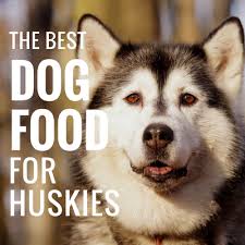 The best dog food brand for siberian huskies depends on your dog. 5 Best Dog Food For Huskies Fuel For Winter Wanderers