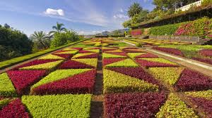 Check spelling or type a new query. 45 Hd Flower Garden Wallpaper On Wallpapersafari