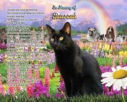 Promises kept memorial picture frame and pet loss sympathy gift package, with optional custom photo editing, ebony black with foil accent : Unbranded Cat Pet Memorial Plaques Markers For Sale Ebay
