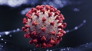 An anonymous reader quotes a report from reuters: Update 4 Fda To Add Warning About Rare Heart Inflammation To Pfizer Moderna Vaccines