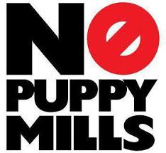 Westport animal control's adoption process. Boycott Puppies Of Westport Posts Facebook