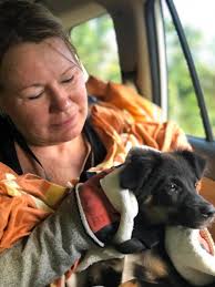 Rocko with the blue collar had his op Tuesday doing well healing good Ruby  had hers in may both insured another year fu*k you mr sunak ❤️❤️cousinly  love 💙💙