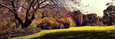 Autumn In The Botanical Gardens Wollongong Australia Wollongong Country Roads Botanical Gardens