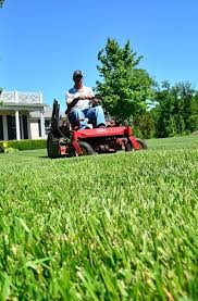 That will cover an area of around 5,000 sq. Lawn Services Alternative Lawn Care