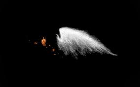 Black And White Angel Wings Wallpaper Angel Wing And Heart Wallpaper With Images Wings Wallpaper White Angel Wings Heart Wallpaper