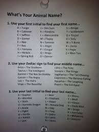 Whats Your Name Chart Whats Your Animal Name Funny