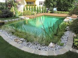 Naturpool Mit Wassergraser Natur Pool Schwimmteich Naturschwimmbader
