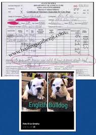 Maybe you would like to learn more about one of these? Pin On Dogs Cats And All Loveable Pets