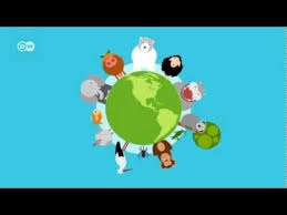 How does climate change affect animals? How Does Climate Change Affect Animals Global Ideas Youtube
