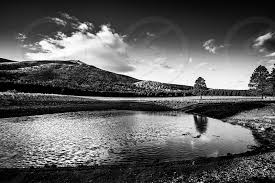 Flagstaff Arizona Nature Snowbowl Mountains Trees Ponds Mountain Tre Pond Reflection Reflections Landscape Black And White Natural Beautiful Amazing Balance By Trauscht Media Llc Photo Stock Snapwire