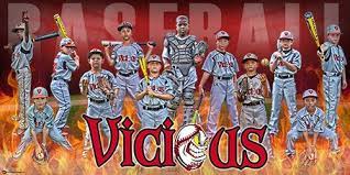 A Big Thanks To Coach Jason Carpenter From Vicious Baseball In Birmingham Al For Reaching Out To Us T Baseball Banner Baseball Team Banner Baseball Tournament
