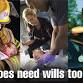 Wisconsin Wills for Heroes - Washington County event image