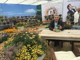 Depending on their color, they might suggest love, friendship, maternal affection, hope for renewed life and even determination to keep living in the face of death. There Is A Colombian Flower For Any Occasion And Any Reason