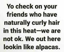 We did not find results for: 25 Best Memes About Naturally Curly Hair Naturally Curly Hair Memes