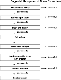 Navy top button and stitched eyelets for breathability. Guidelines For Monitoring And Management Of Pediatric Patients Before During And After Sedation For Diagnostic And Therapeutic Procedures American Academy Of Pediatrics