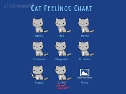 Cat Feelings Chart 15 00 Free Shipping