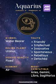 What Is The Symbol For Aquarius The Aquarius Symbol Is The Water Bearer And In Astrology It Is Ruled By T Aquarius Zodiac Signs Aquarius Aquarius Personality