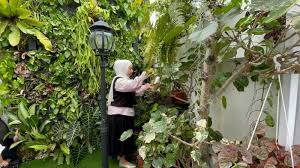 Pohon rimbun memang bisa menyejukkan halaman rumah, bunda. Tips Berkebun Di Halaman Yang Sempit Cobain Konsep Vertical Garden Yang Kekinian Halaman All Tribunjambi Travel