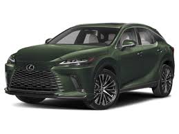 Image result for Nori Green 2025 LZ
