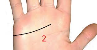 Straight Heart Line Meaning In Palmistry Palmistry Reading Tarot Cards Line