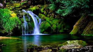 Nature Wallpaper Hd 3d 1600x900 Download Hd Wallpaper Wallpapertip Every day new pictures and just beautiful wallpaper for your desktop nature completely free.