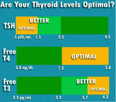 Thyroid Levels Hypothyroidism Hyperthyroidism