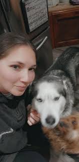 Shasteen's Siberian Husky's...