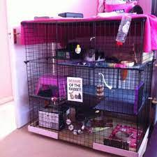 Pin On Spiffypetproducts Com Top Posts