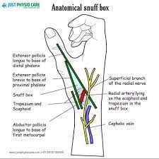 Because the scaphoid is not perfectly parallel with the wrist and palm, it can be difficult to detect nondisplaced fractures on routine radiographs. D O C T O R S Follow Us For More Knowledge The Facebook